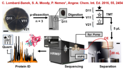 Single-cell mass spectrometry instrument 