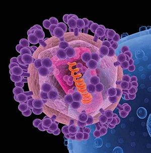 HIV molecule