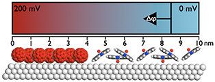 Molecularly-resolved topographic and potentiometric imaging