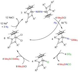 Dinitrogen fixation diagram